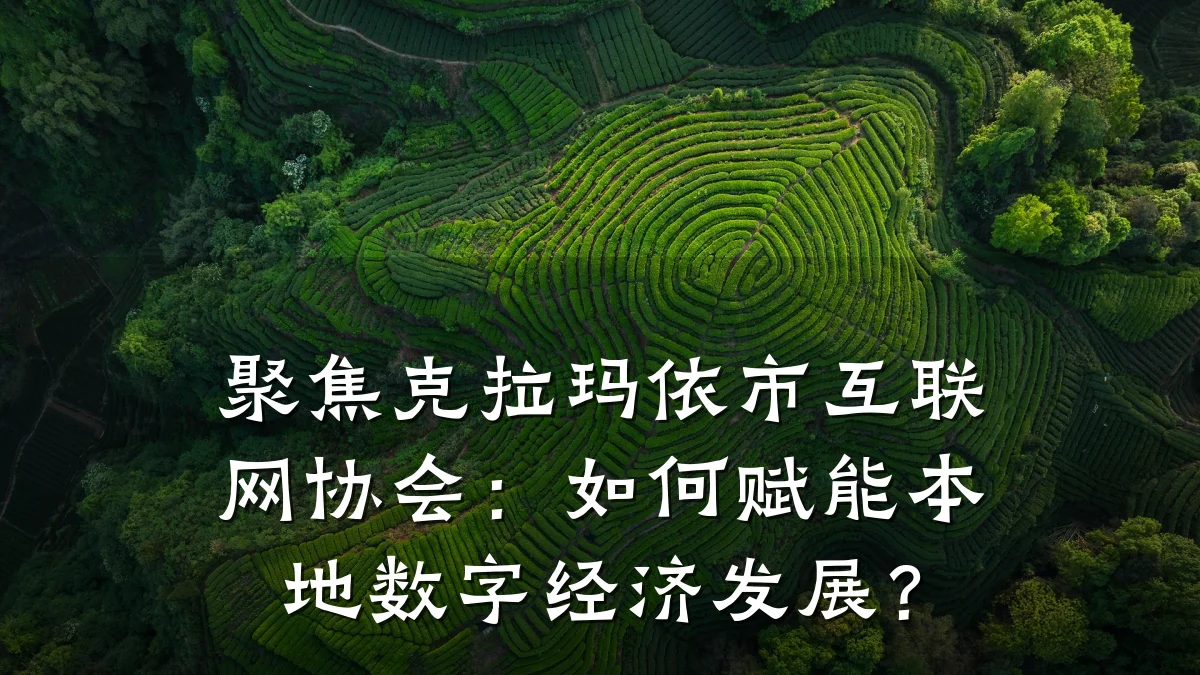 聚焦克拉玛依市互联网协会:如何赋能本地数字经济发展?