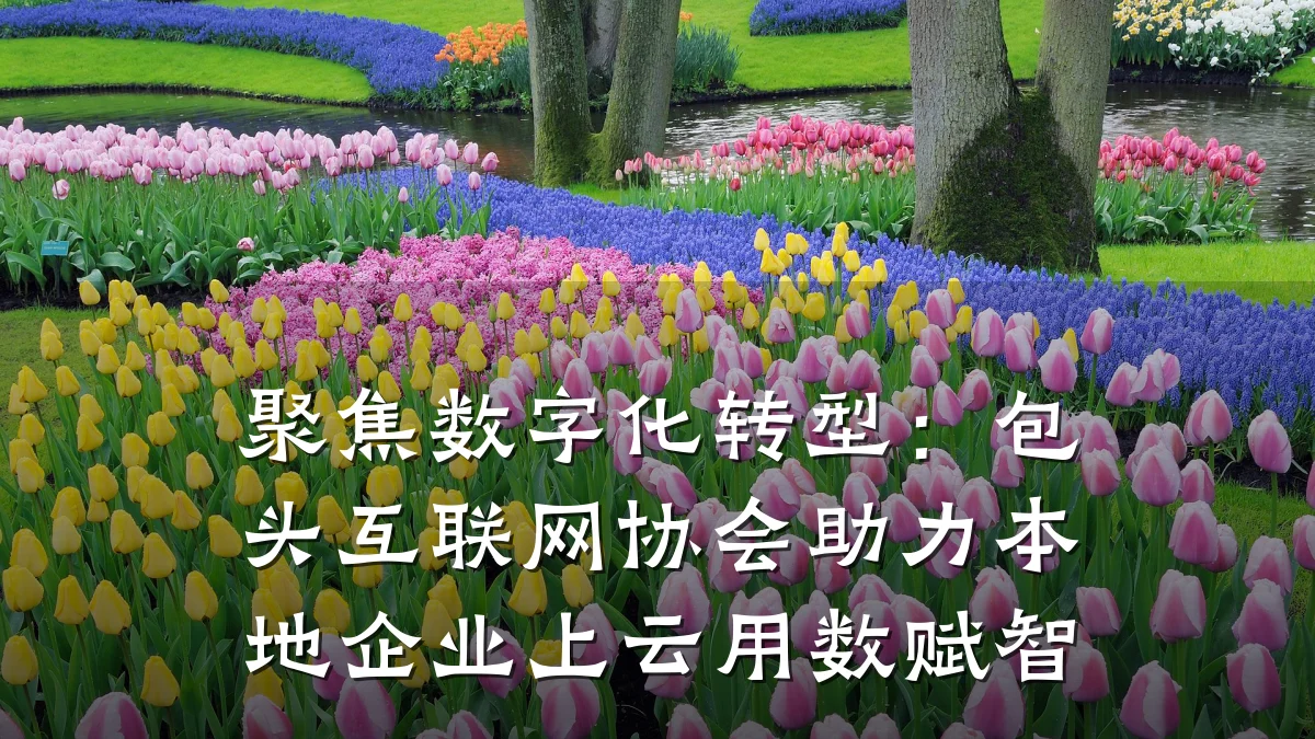 聚焦数字化转型:包头互联网协会助力本地企业上云用数赋智