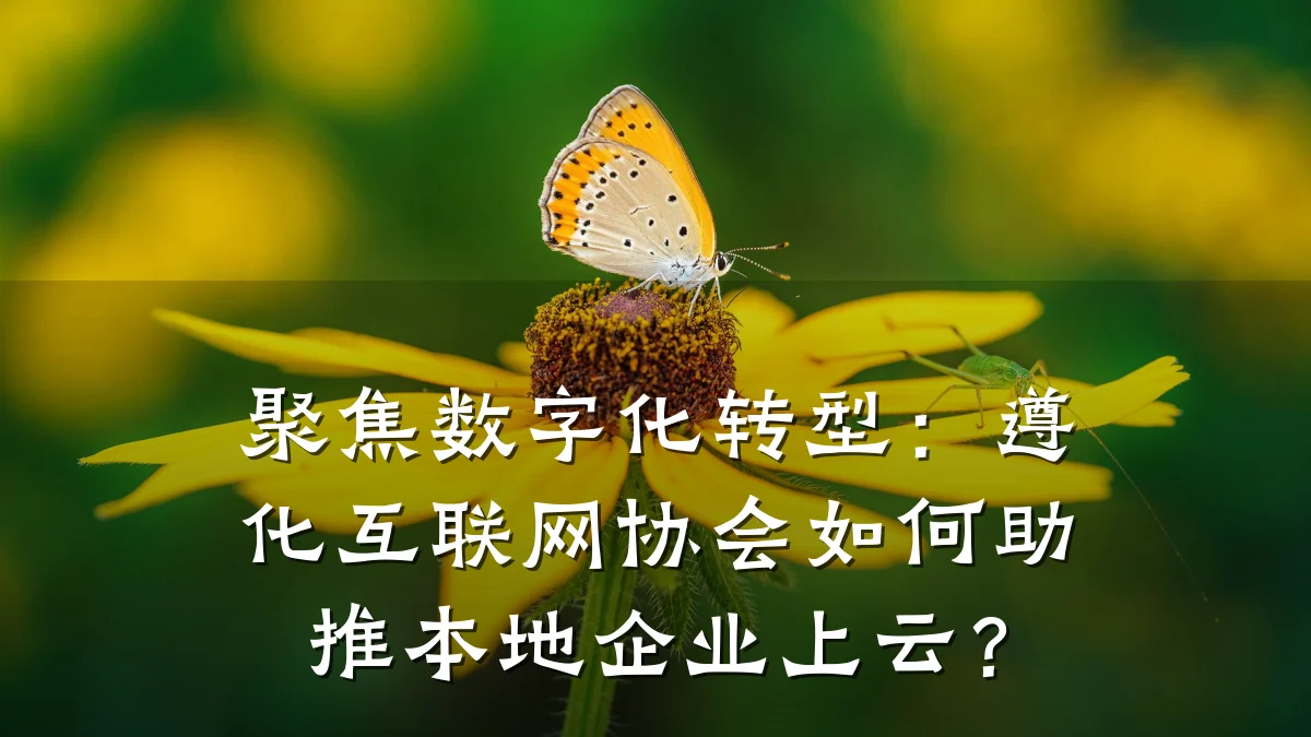 聚焦数字化转型:遵化互联网协会如何助推本地企业上云?