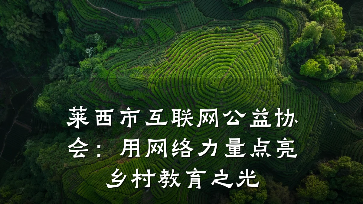 莱西市互联网公益协会:用网络力量点亮乡村教育之光