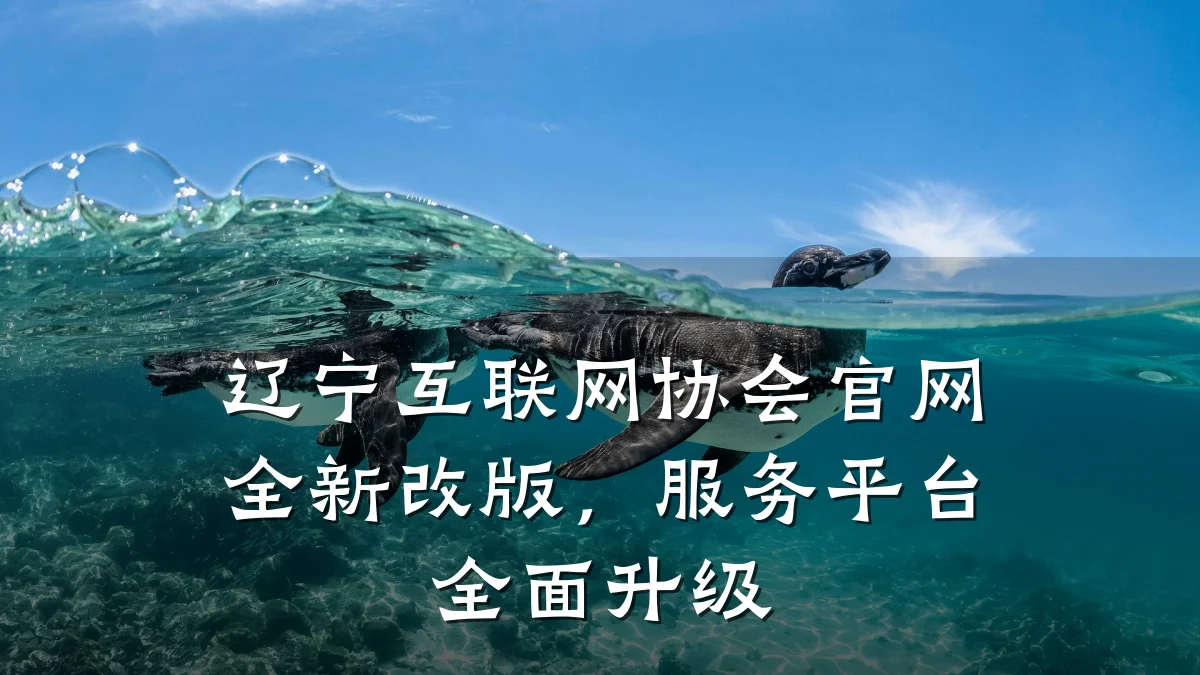 辽宁互联网协会官网全新改版，服务平台全面升级