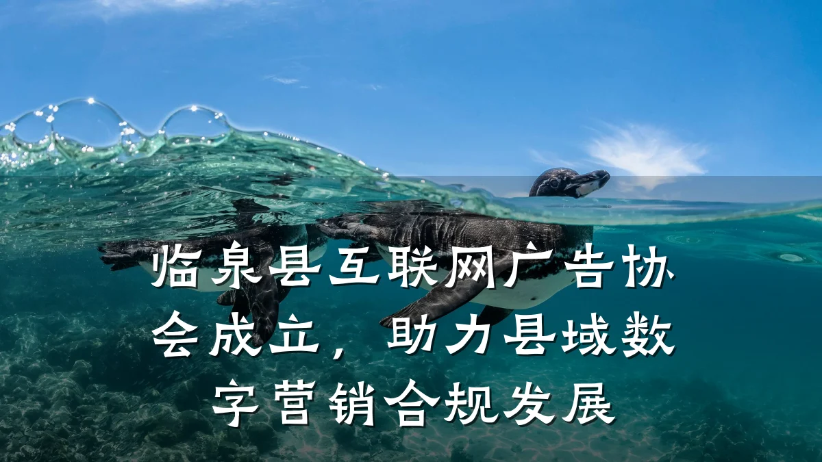 临泉县互联网广告协会成立,助力县域数字营销合规发展
