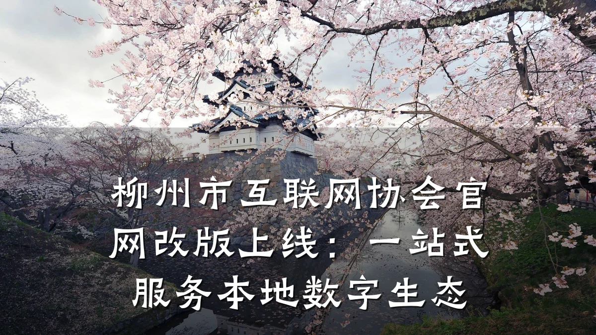 柳州市互联网协会官网改版上线:一站式服务本地数字生态