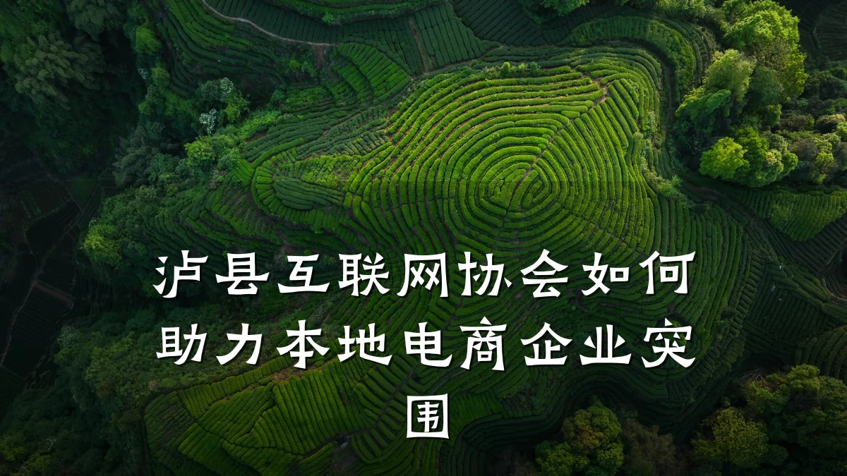 泸县互联网协会如何助力本地电商企业突围