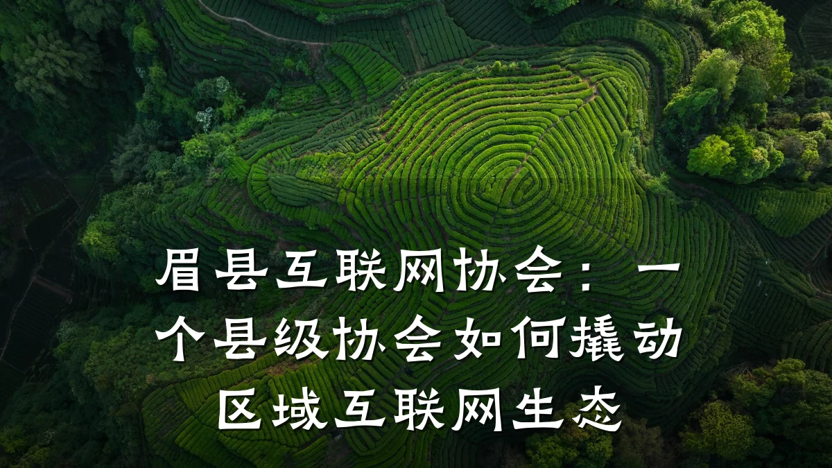 眉县互联网协会:一个县级协会如何撬动区域互联网生态