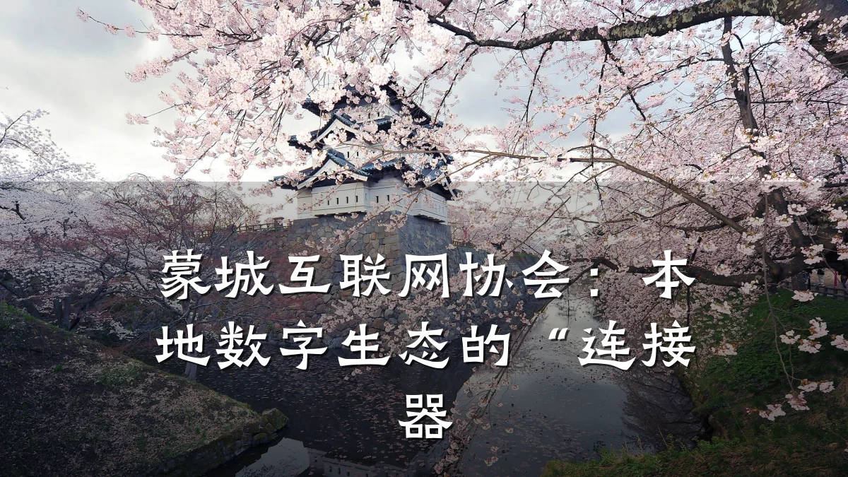 蒙城互联网协会:本地数字生态的“连接器