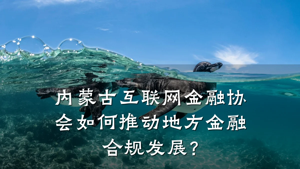 内蒙古互联网金融协会如何推动地方金融合规发展?