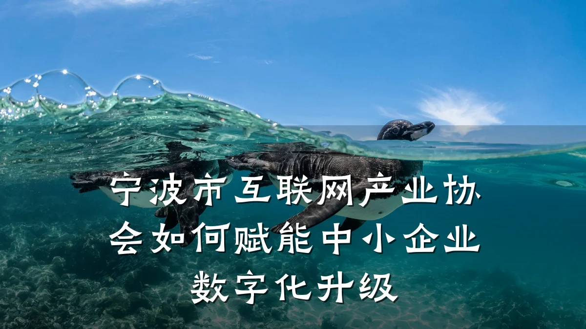 宁波市互联网产业协会如何赋能中小企业数字化升级