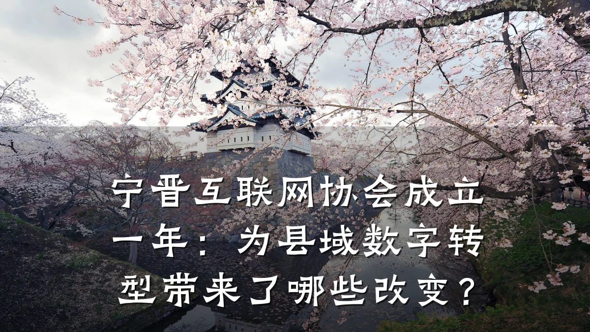 宁晋互联网协会成立一年:为县域数字转型带来了哪些改变?