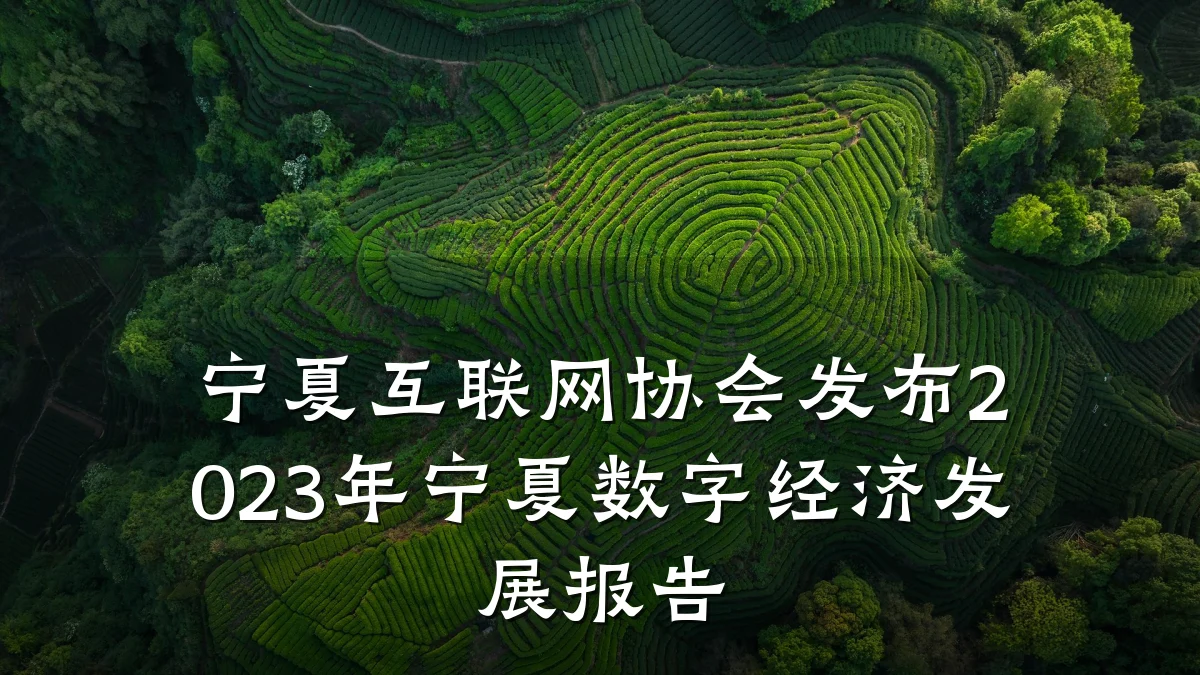宁夏互联网协会发布2023年宁夏数字经济发展报告