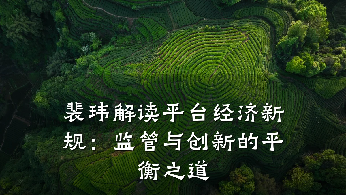 裴玮解读平台经济新规：监管与创新的平衡之道