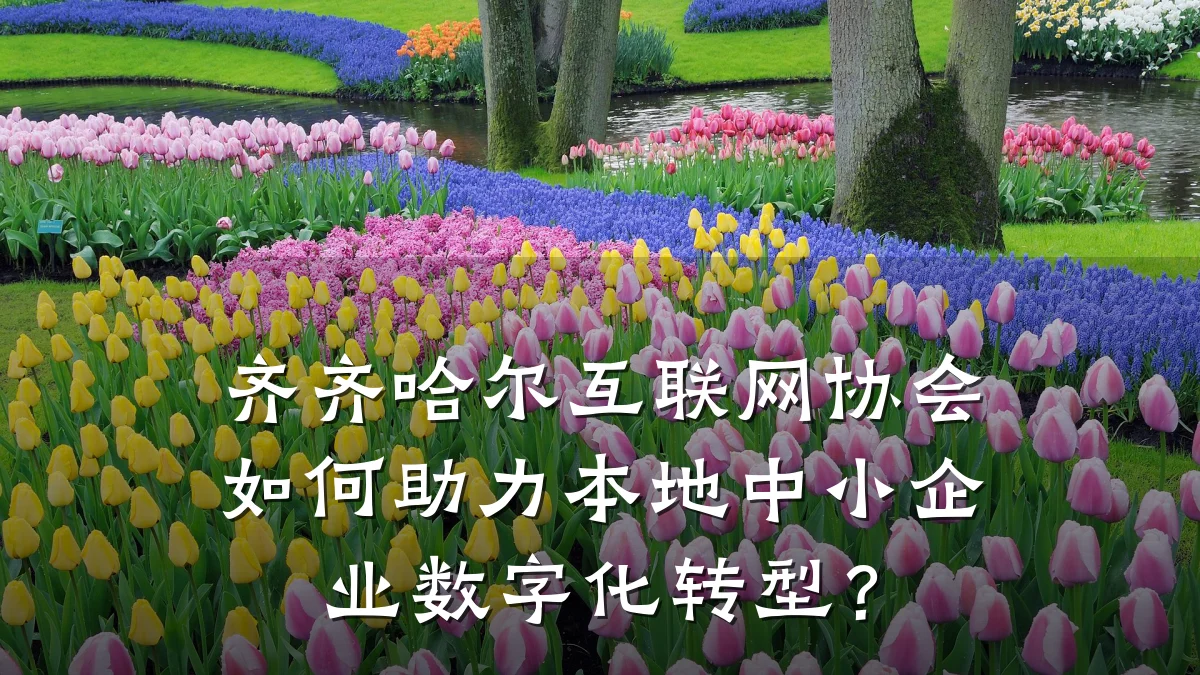 齐齐哈尔互联网协会如何助力本地中小企业数字化转型?