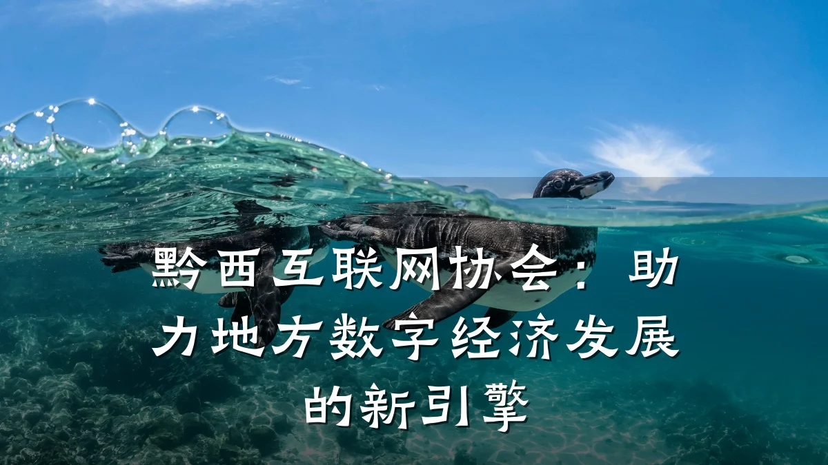 黔西互联网协会:助力地方数字经济发展的新引擎