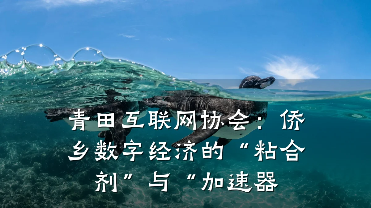 青田互联网协会:侨乡数字经济的“粘合剂”与“加速器