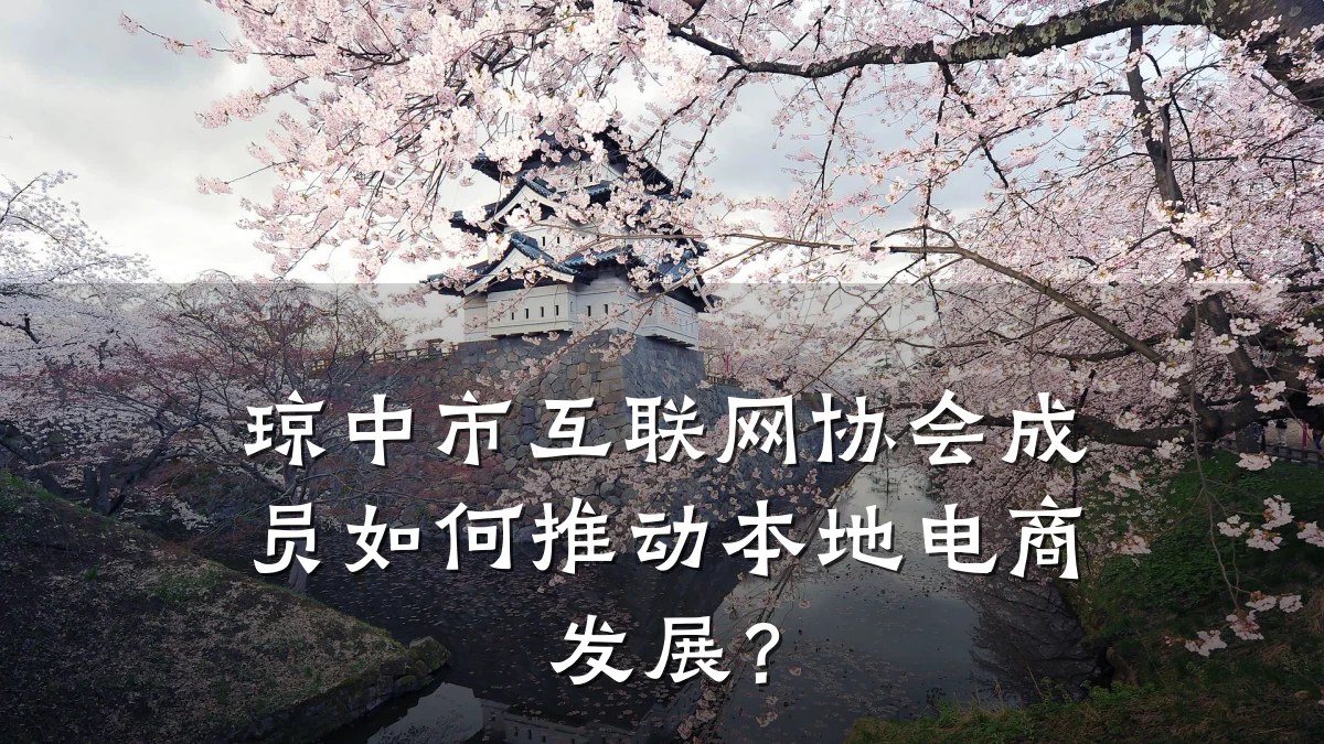 琼中市互联网协会成员如何推动本地电商发展?