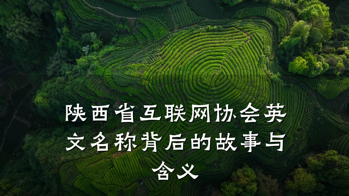 陕西省互联网协会英文名称背后的故事与含义