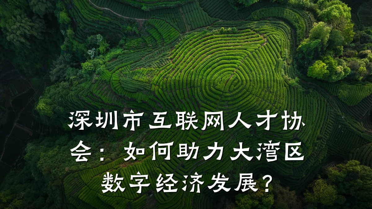 深圳市互联网人才协会:如何助力大湾区数字经济发展?