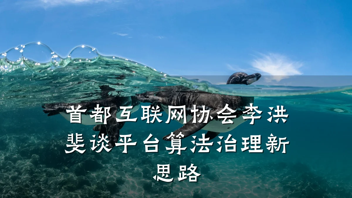 首都互联网协会李洪斐谈平台算法治理新思路