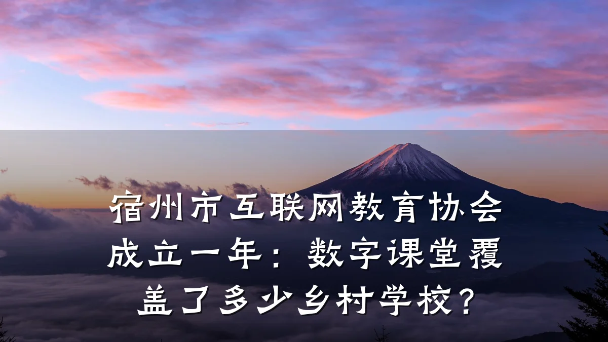 宿州市互联网教育协会成立一年:数字课堂覆盖了多少乡村学校?