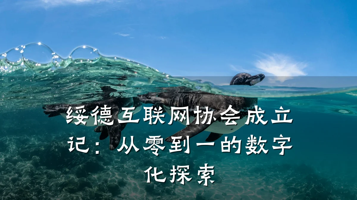绥德互联网协会成立记:从零到一的数字化探索