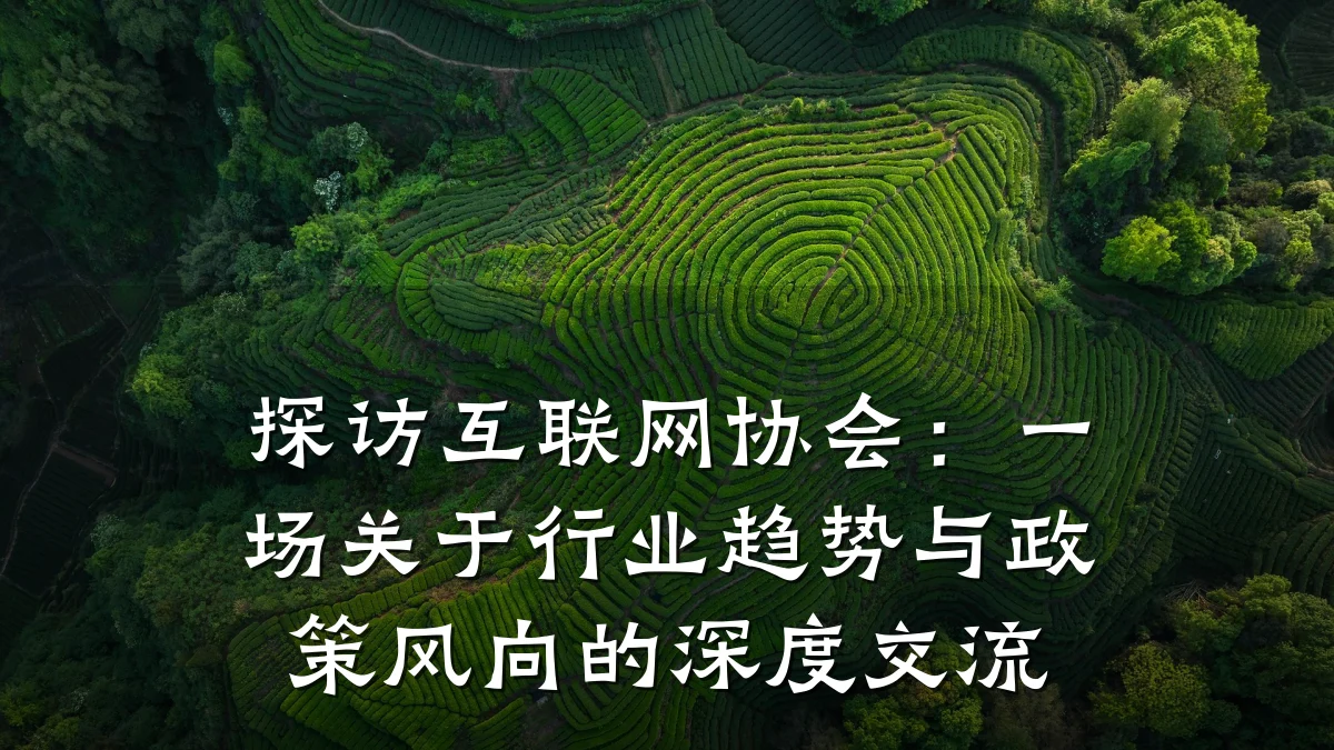 探访互联网协会:一场关于行业趋势与政策风向的深度交流