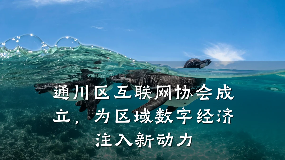 通川区互联网协会成立,为区域数字经济注入新动力