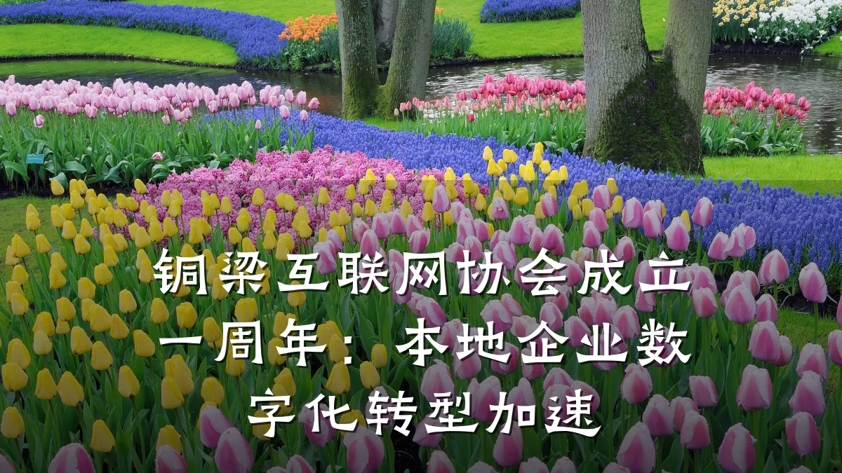 铜梁互联网协会成立一周年:本地企业数字化转型加速