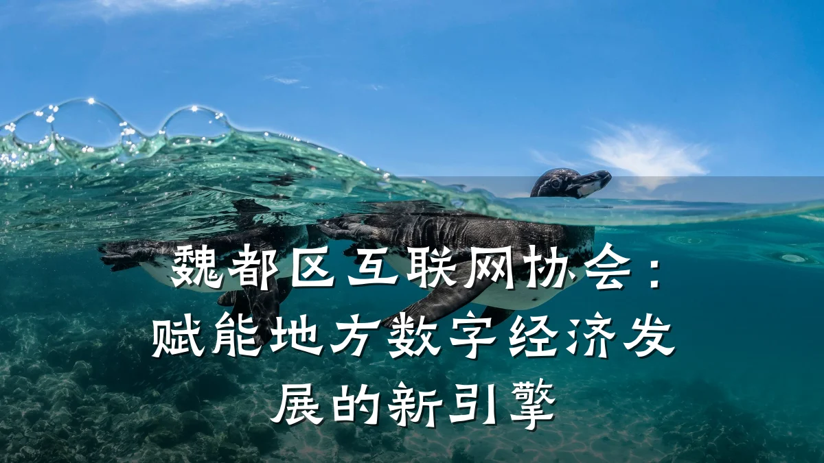 魏都区互联网协会:赋能地方数字经济发展的新引擎