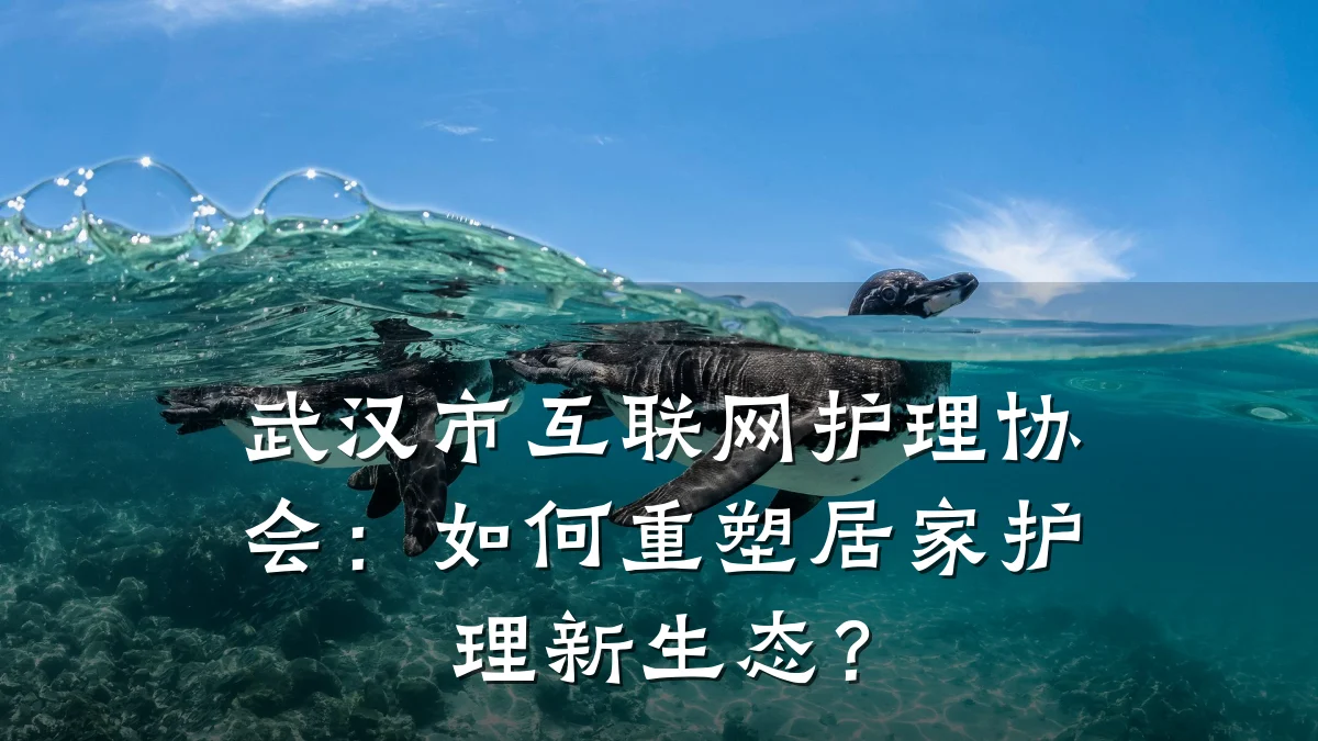 武汉市互联网护理协会:如何重塑居家护理新生态?