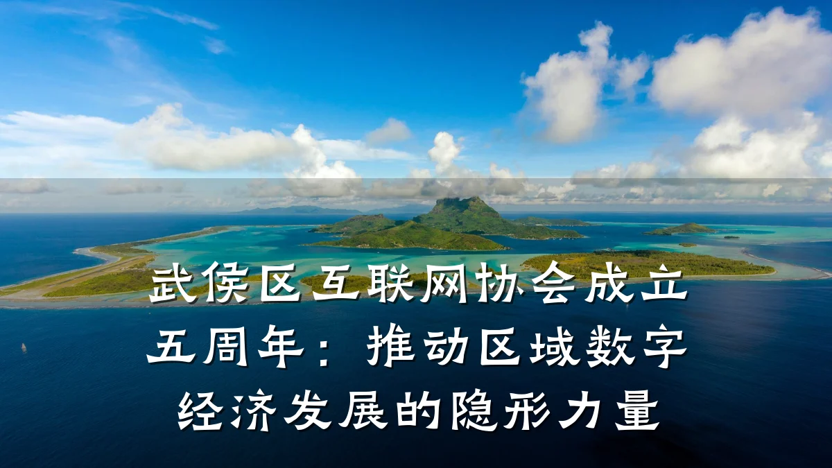 武侯区互联网协会成立五周年:推动区域数字经济发展的隐形力量