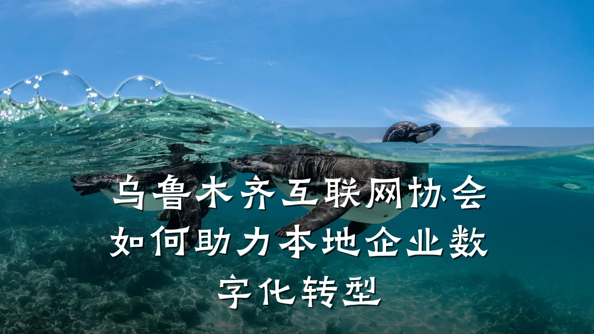 乌鲁木齐互联网协会如何助力本地企业数字化转型