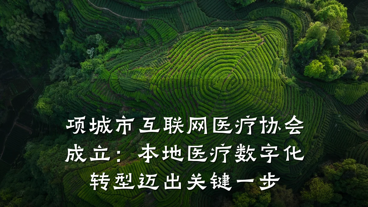 项城市互联网医疗协会成立:本地医疗数字化转型迈出关键一步