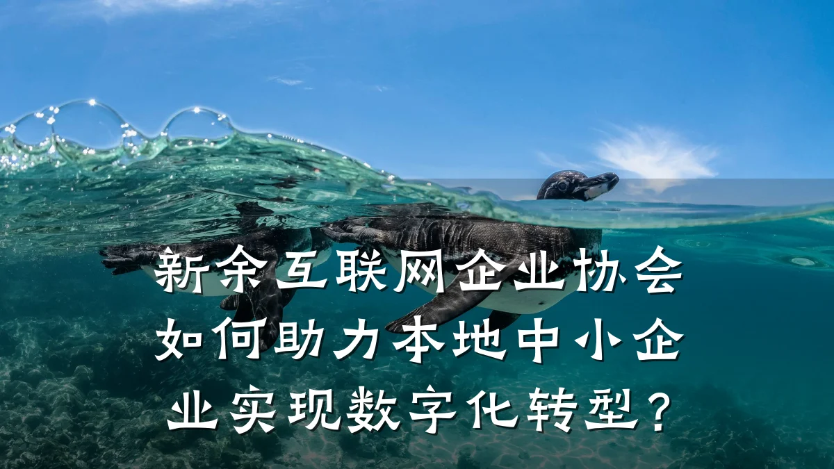 新余互联网企业协会如何助力本地中小企业实现数字化转型？