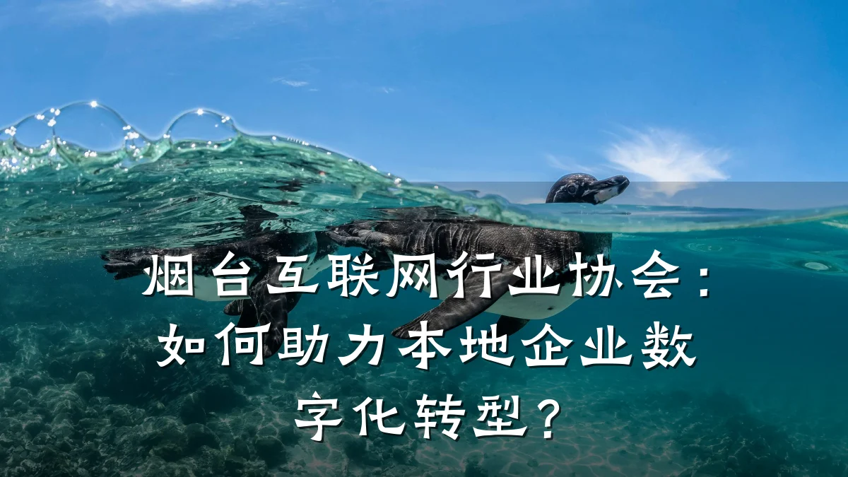 烟台互联网行业协会：如何助力本地企业数字化转型？