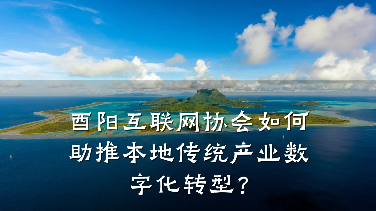酉阳互联网协会如何助推本地传统产业数字化转型?