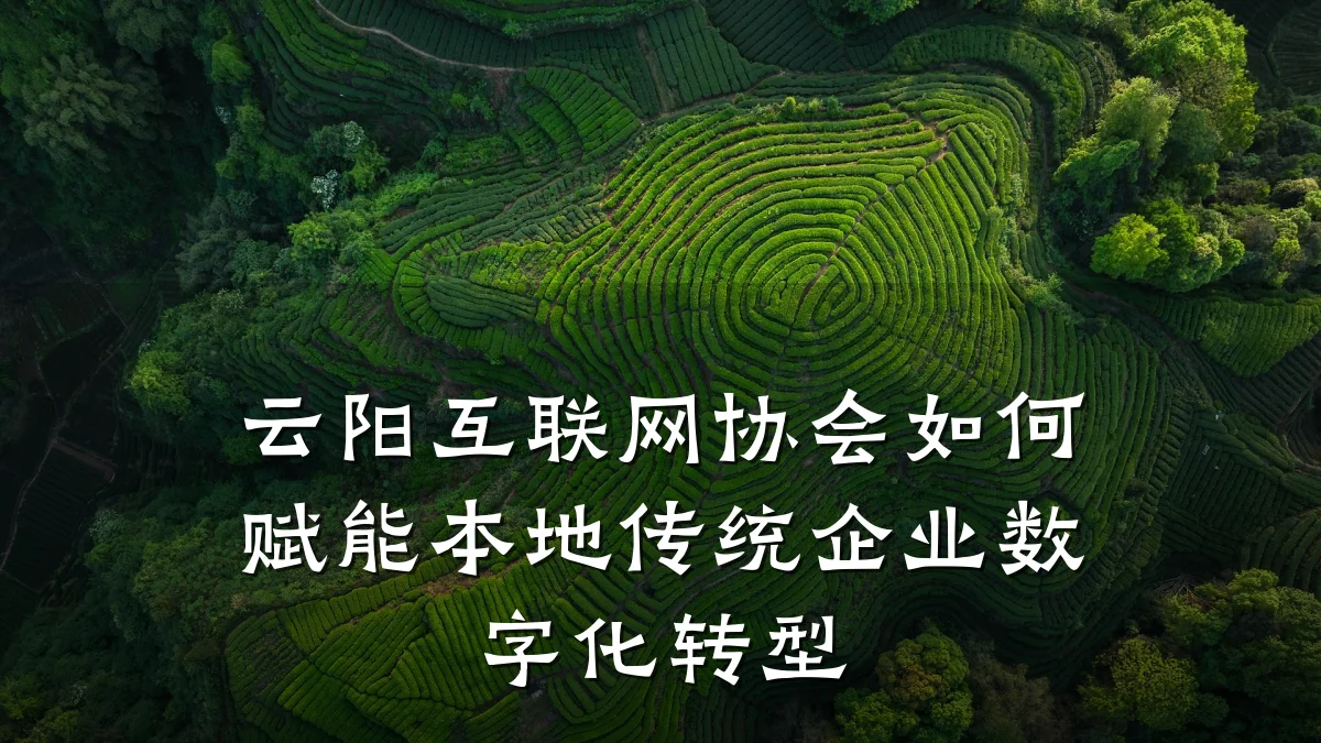 云阳互联网协会如何赋能本地传统企业数字化转型