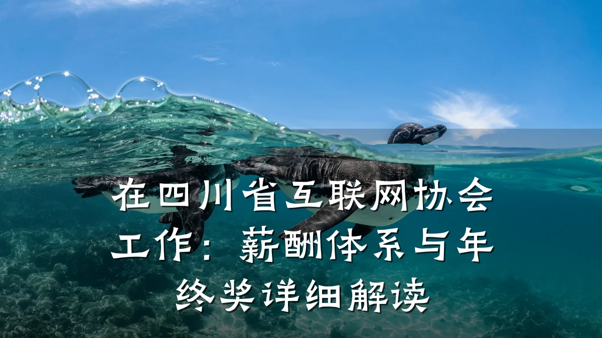 在四川省互联网协会工作:薪酬体系与年终奖详细解读