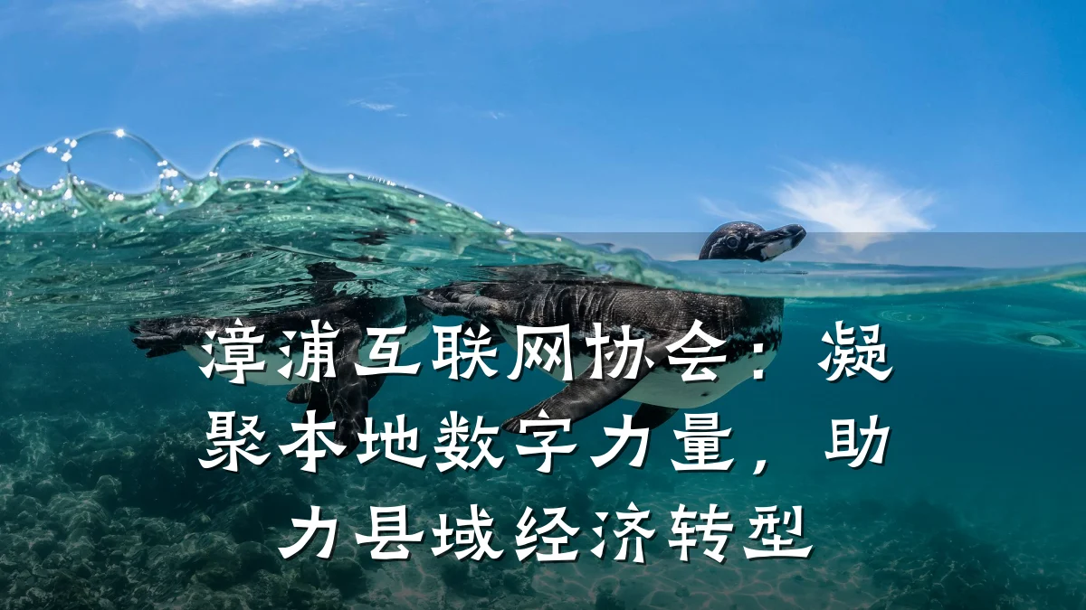 漳浦互联网协会：凝聚本地数字力量，助力县域经济转型