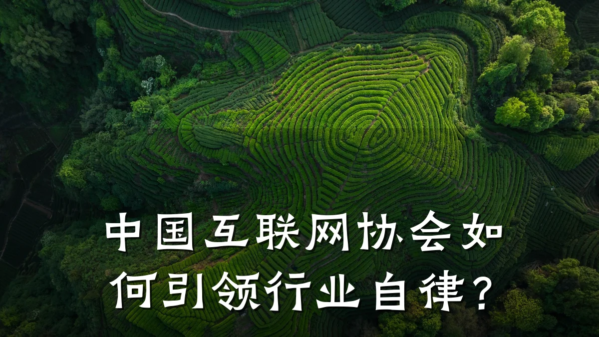 中国互联网协会如何引领行业自律？