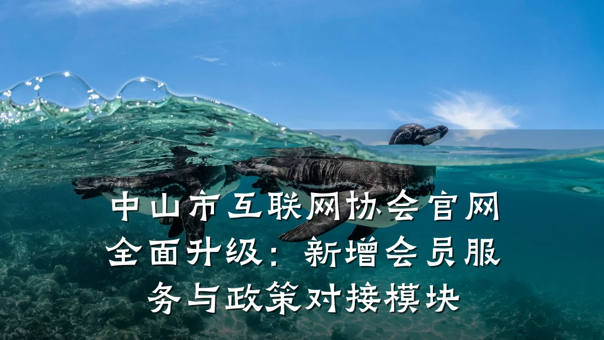 中山市互联网协会官网全面升级:新增会员服务与政策对接模块
