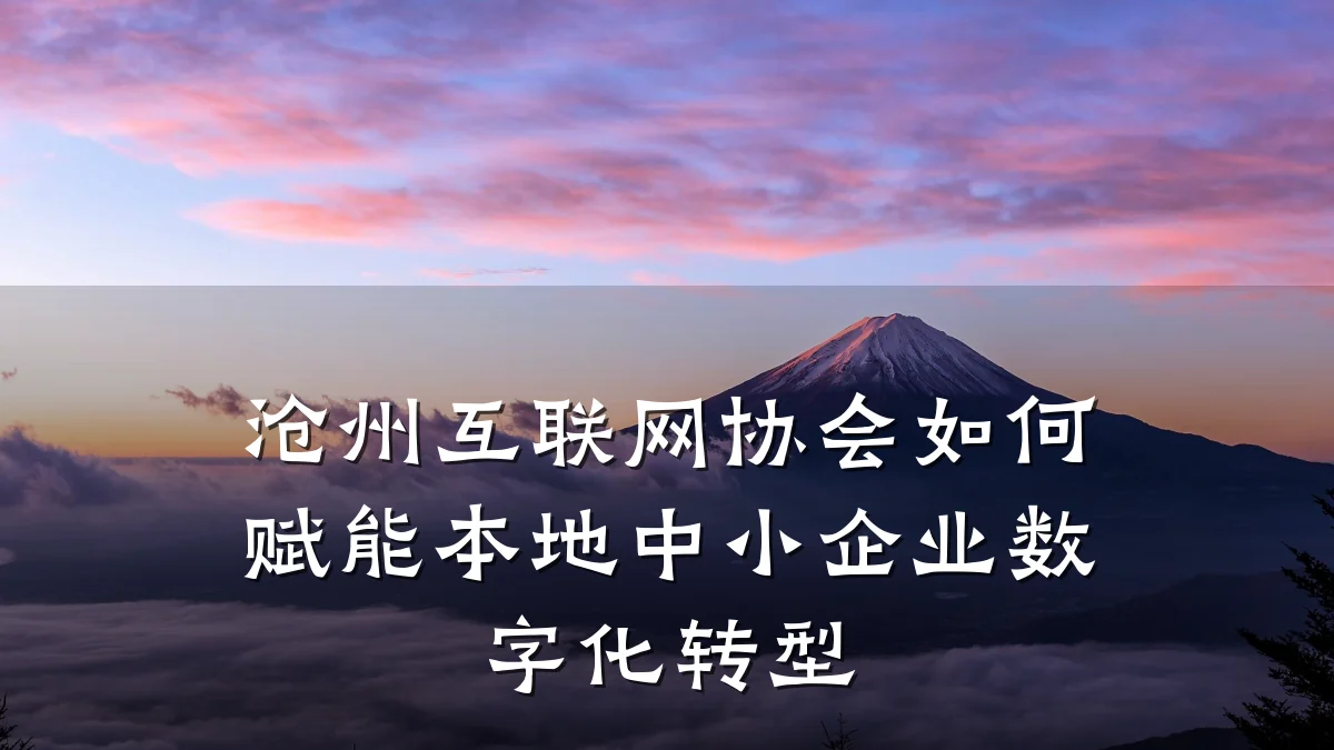 沧州互联网协会如何赋能本地中小企业数字化转型