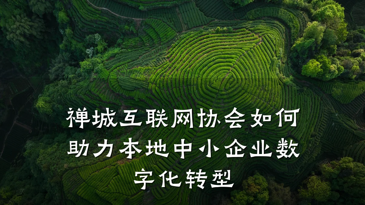 禅城互联网协会如何助力本地中小企业数字化转型