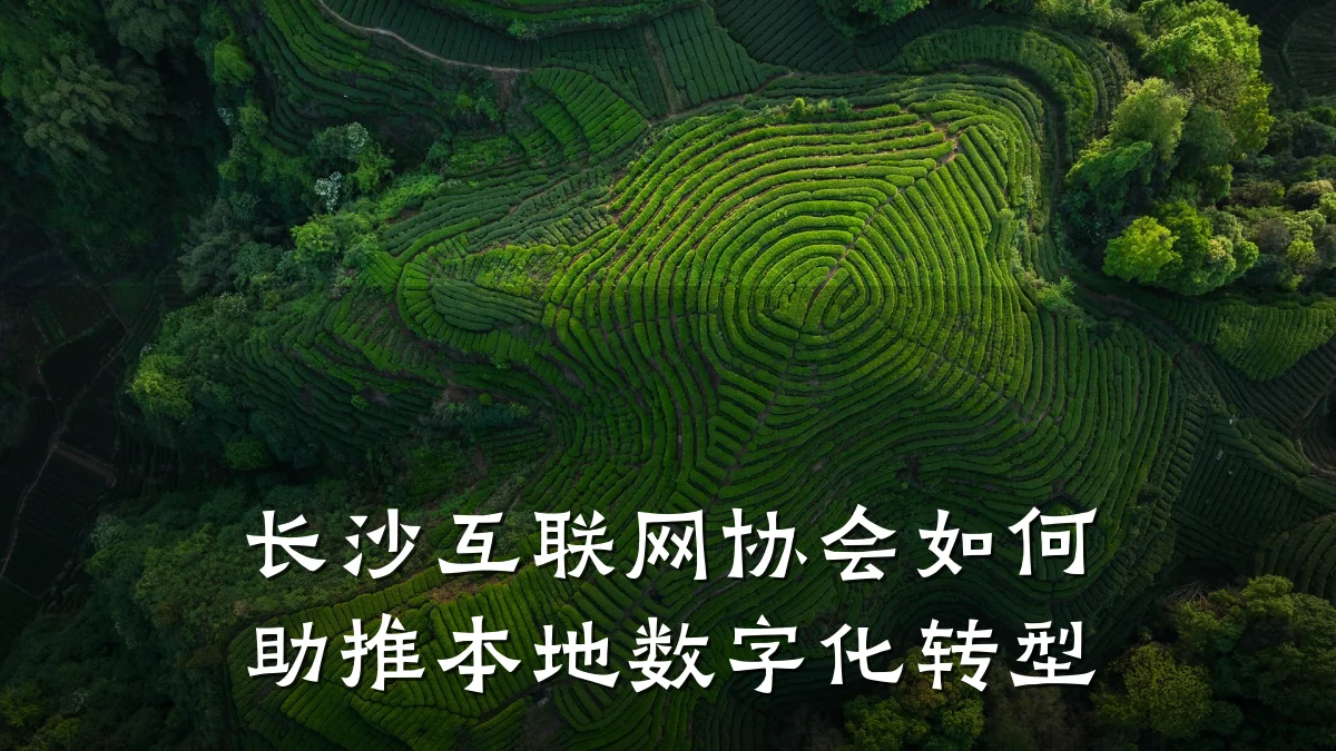 长沙互联网协会如何助推本地数字化转型