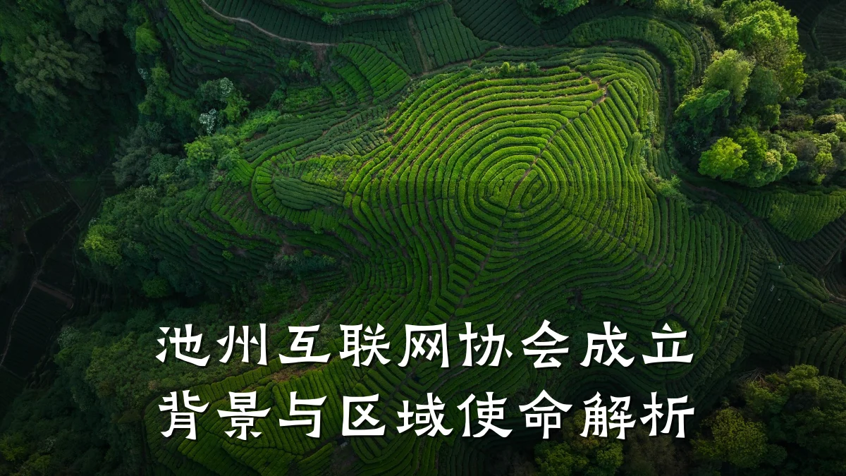 池州互联网协会成立背景与区域使命解析