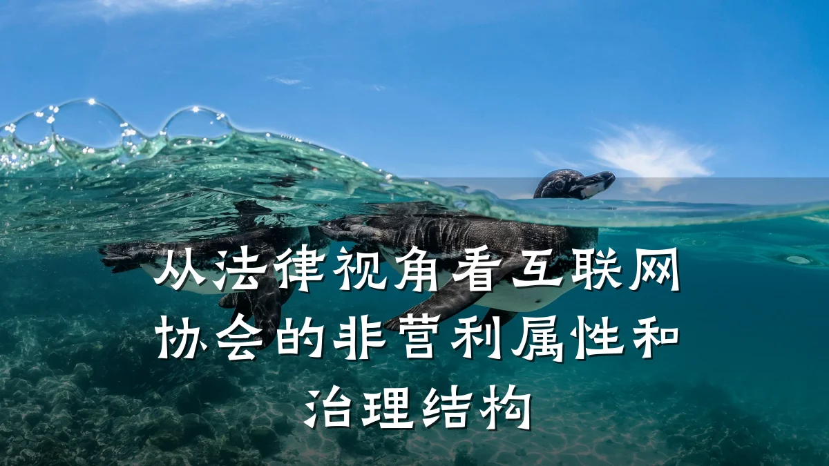从法律视角看互联网协会的非营利属性和治理结构