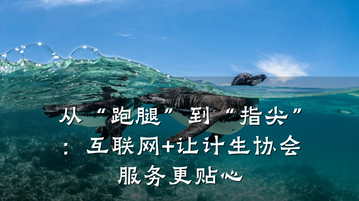 从“跑腿”到“指尖”:互联网+让计生协会服务更贴心