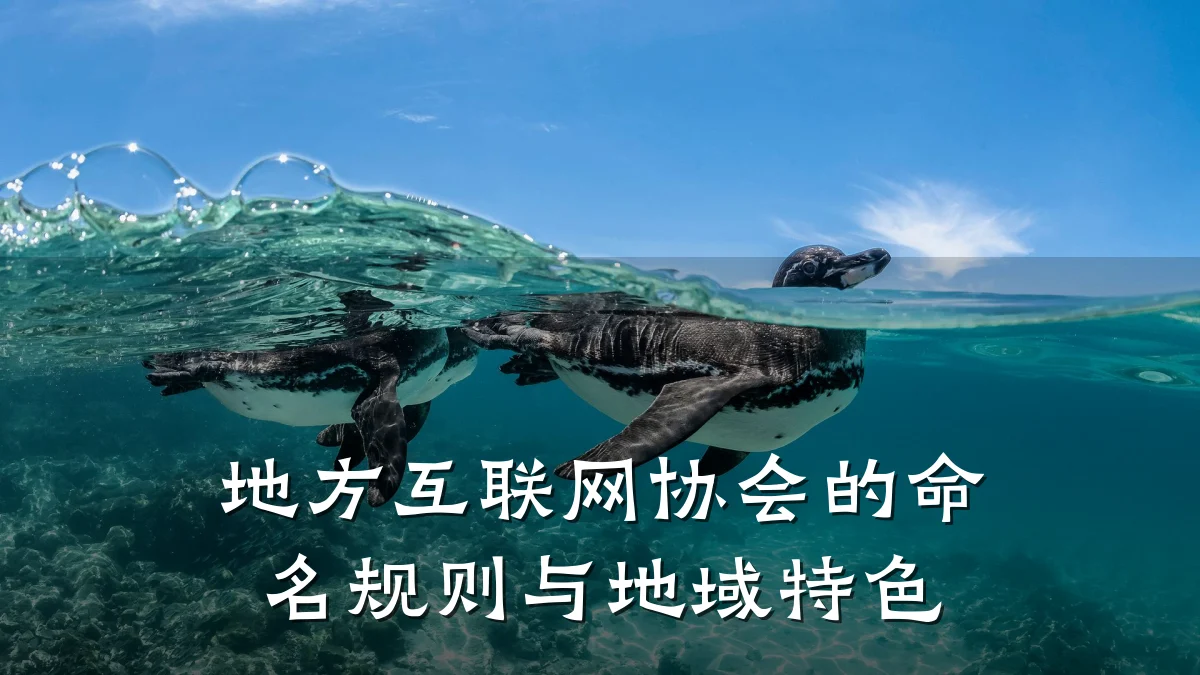 地方互联网协会的命名规则与地域特色