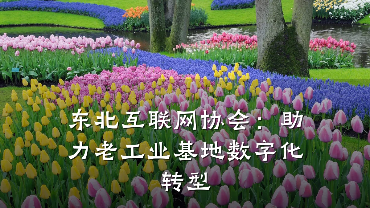 东北互联网协会:助力老工业基地数字化转型