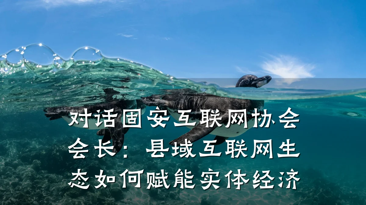 对话固安互联网协会会长:县域互联网生态如何赋能实体经济
