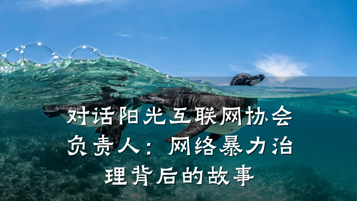 对话阳光互联网协会负责人:网络暴力治理背后的故事